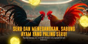 Kenali Ayam Bangkok: Raja Sabung Ayam dengan Odds Menarik di SV388