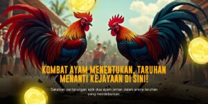 Menyelami Dunia Sabung Ayam SV388: Jenis Ayam dan Odds Menarik