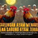 Rahasia Taruhan Sabung Ayam SV388 yang Bikin Ketagihan