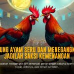 Keunggulan Ayam Bangkok dalam Sabung Ayam Online
