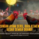 Rahasia Ayam Bangkok Juara di Arena Sabung Ayam SV388