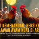 Membedah SV388: Platform Sabung Ayam Terpercaya dan Populer