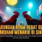 Keunggulan Sabung Ayam S128: Taruhan Seru dengan Odds Menguntungkan