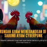Mengungkap Kelebihan Ayam Bangkok dalam Sabung Ayam SV388