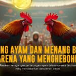 Mengenal Sabung Ayam SV388: Adu Tarung Ayam Legendaris
