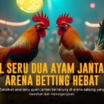 Asal Usul & Keunikan Sabung Ayam SV388 yang Wajib Kamu Tahu